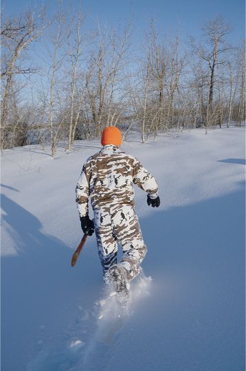 In early winter, both whitetail and mule deer bucks will be found in secure cover, typically in different areas than those that hold does.